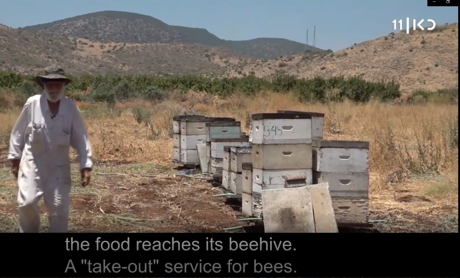 Zuf Globus extracts are “take out” food for bees